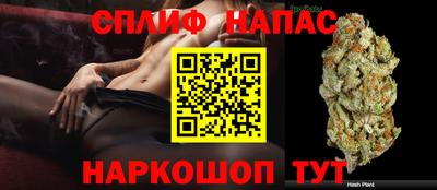 ALPHA PVP Малоярославец